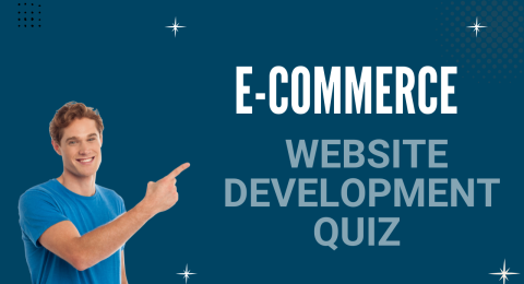 e-commerce website development company