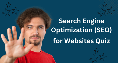 SEO quiz for beginners