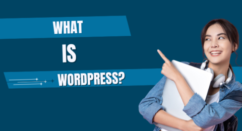 What is WordPress